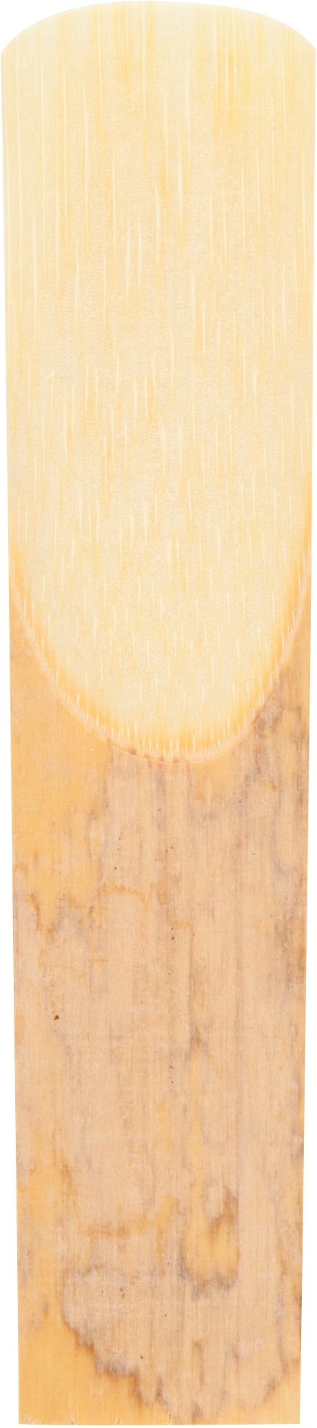 Gonzalez Alt-Sax 3 Regular Cut