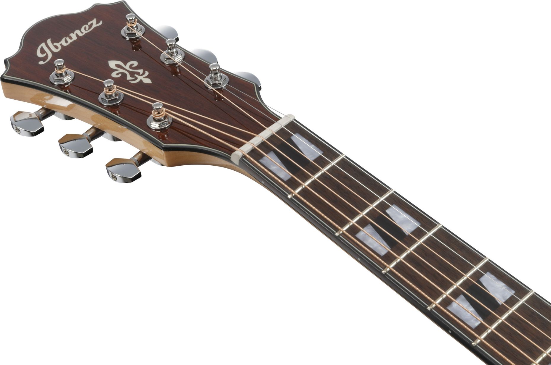 Ibanez AE 170-NTR 