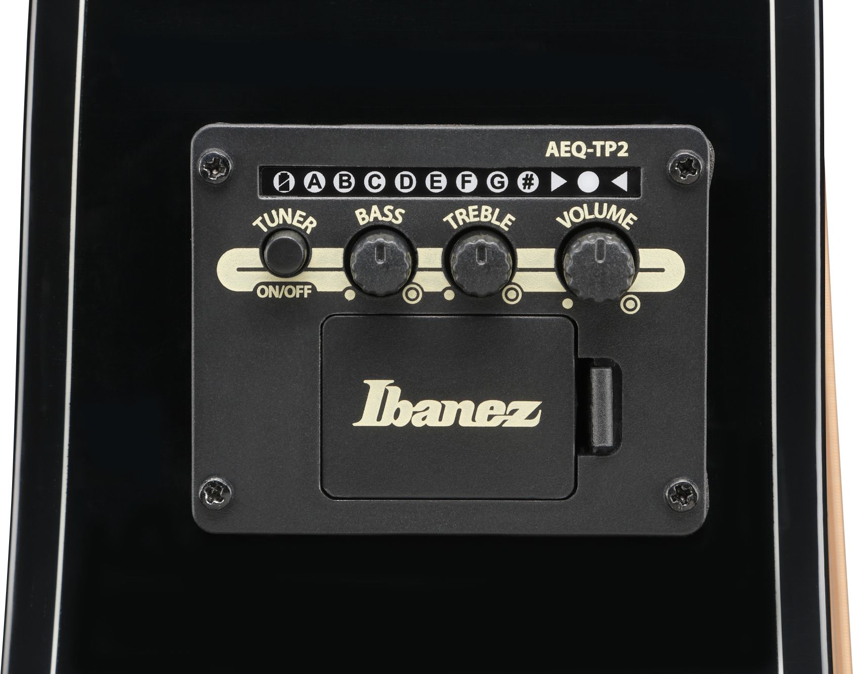 Ibanez AAM 100E BK