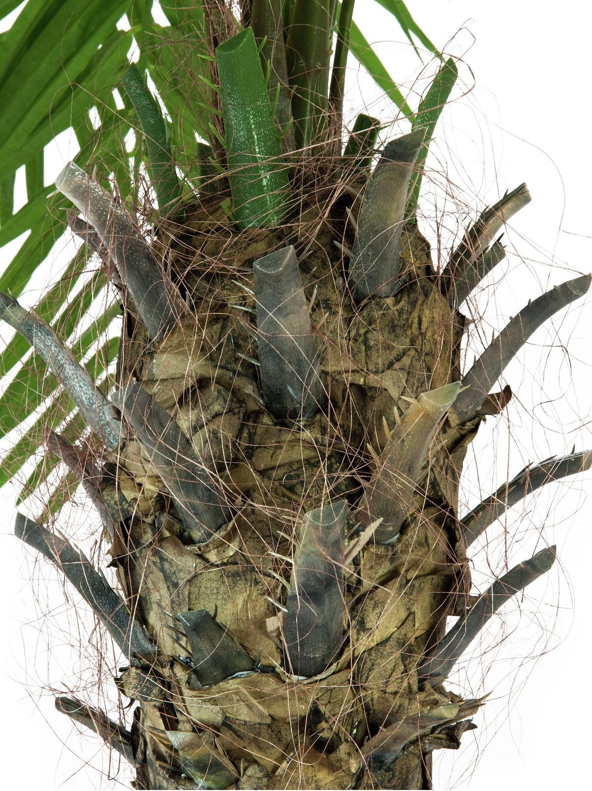 Europalms Phönixpalme luxor, Kunstpflanze, 150cm