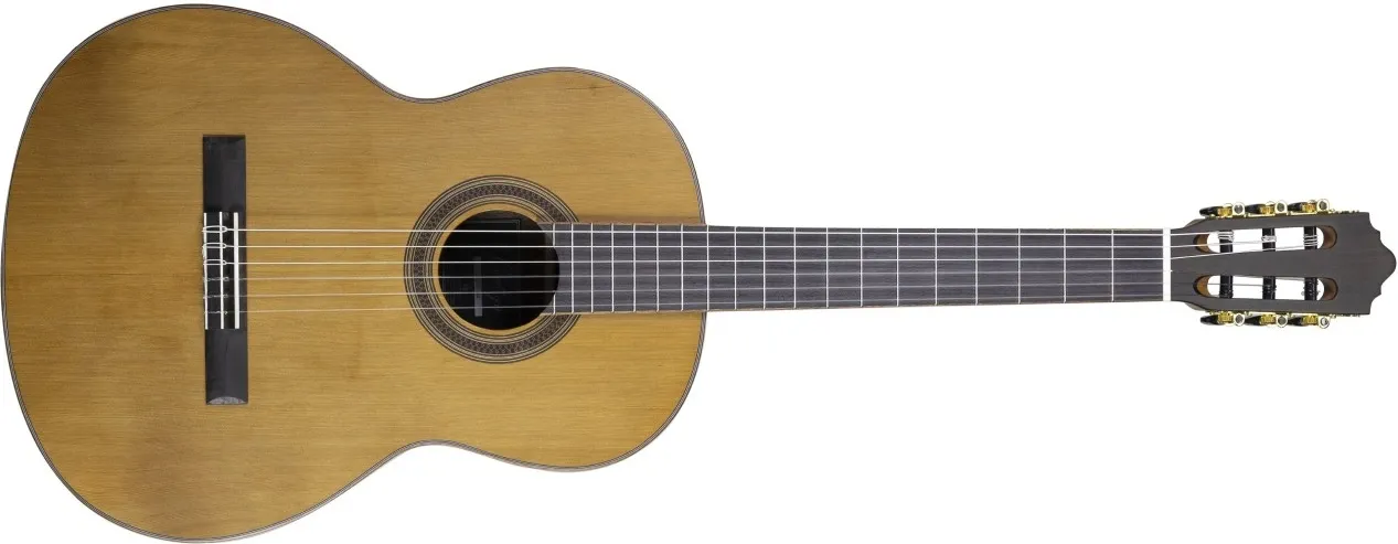 Contigo C-205 4/4 solid cedar/rosewood