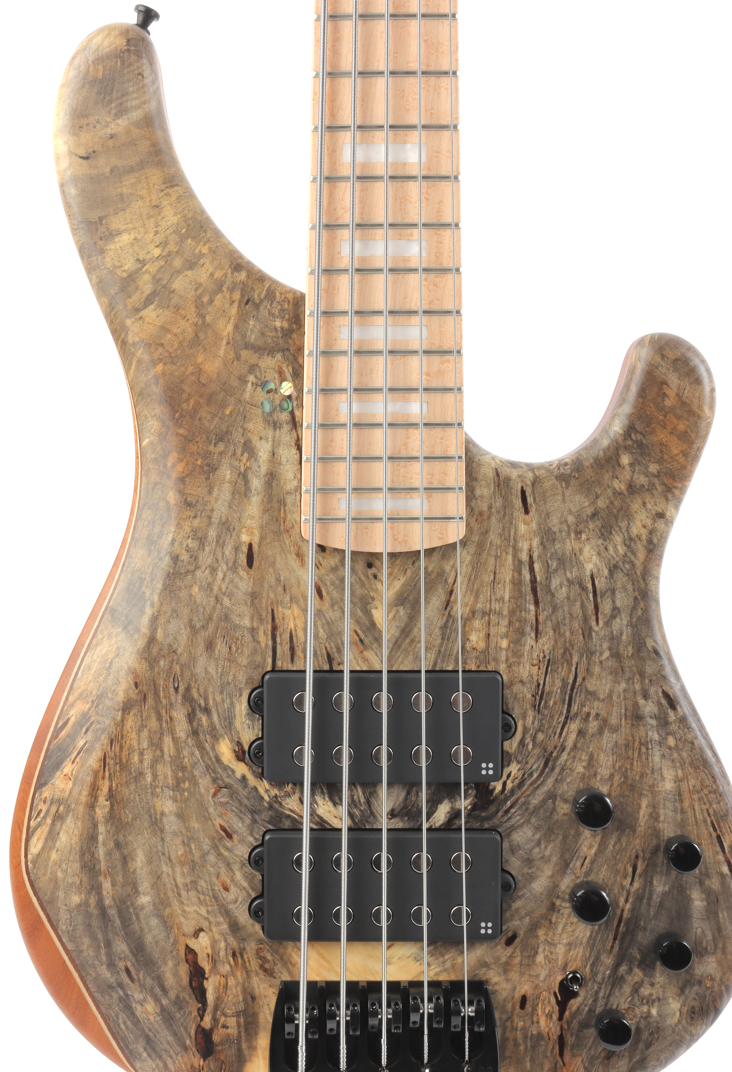 Sandberg Basic Ken Taylor 5 Buckeye Burl Birdseye / Maple FB – Bild 3