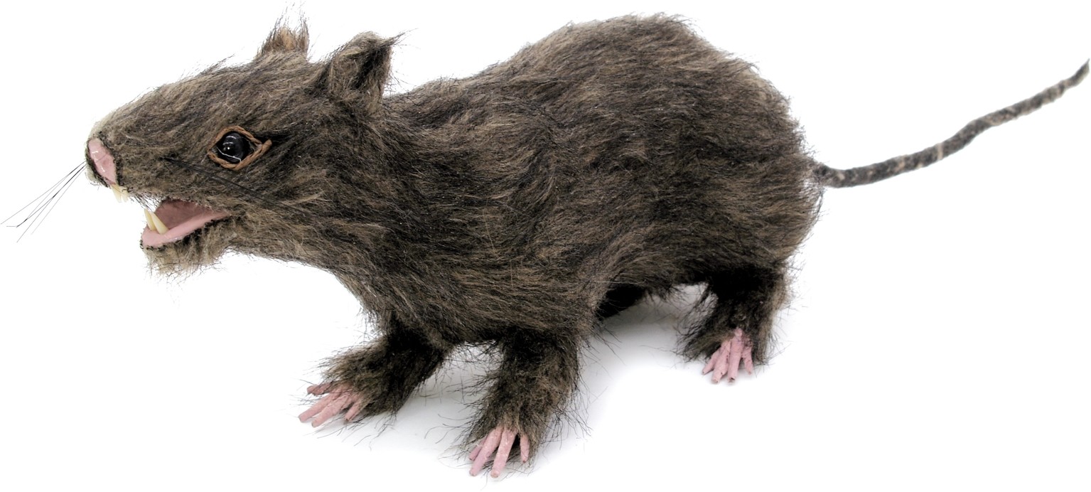 Eurolite Halloween rat lifelike with fur Eurolite Halloween rat lifelike with fur