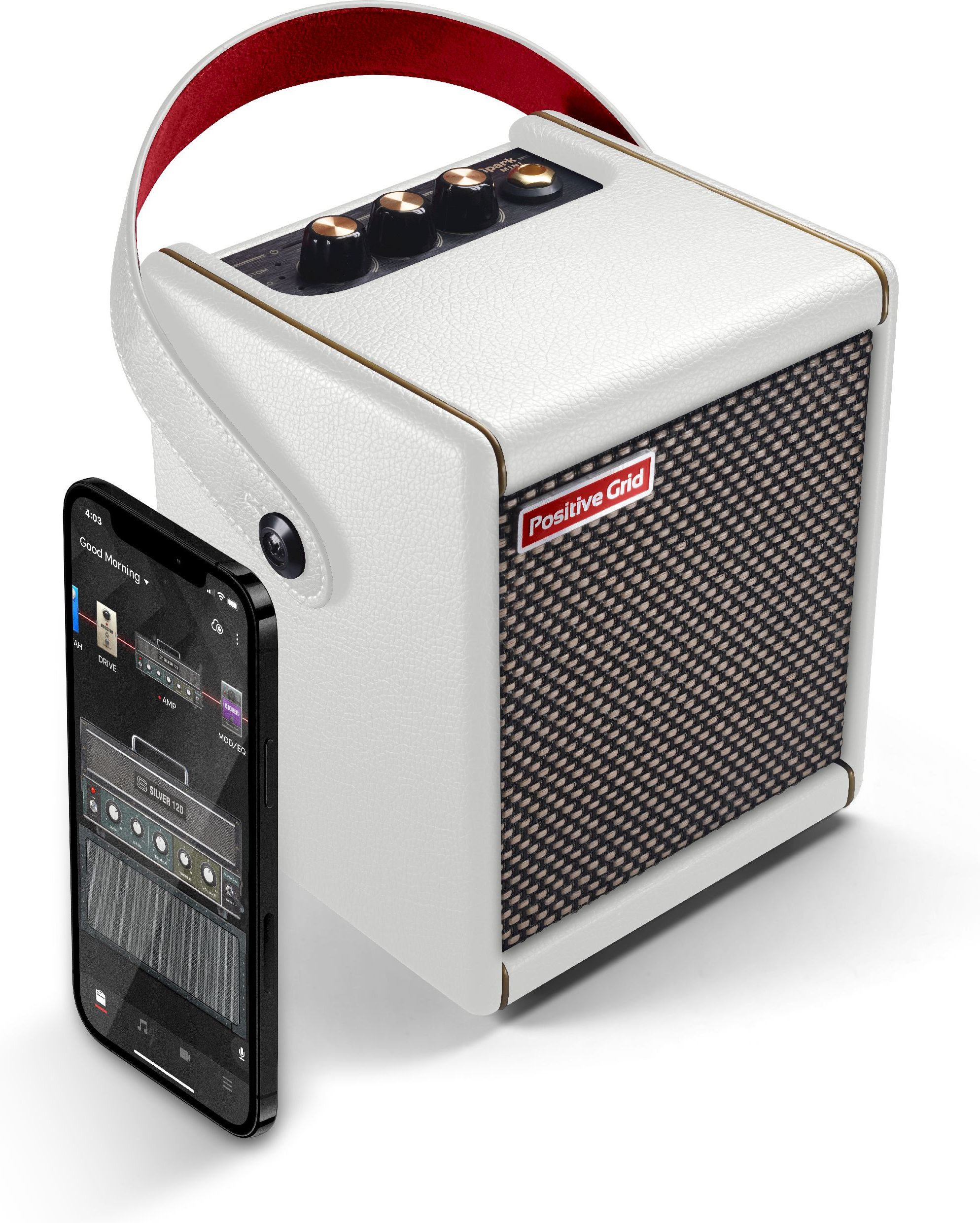 Positive Grid Spark MINI PW & Grid Control Bundle