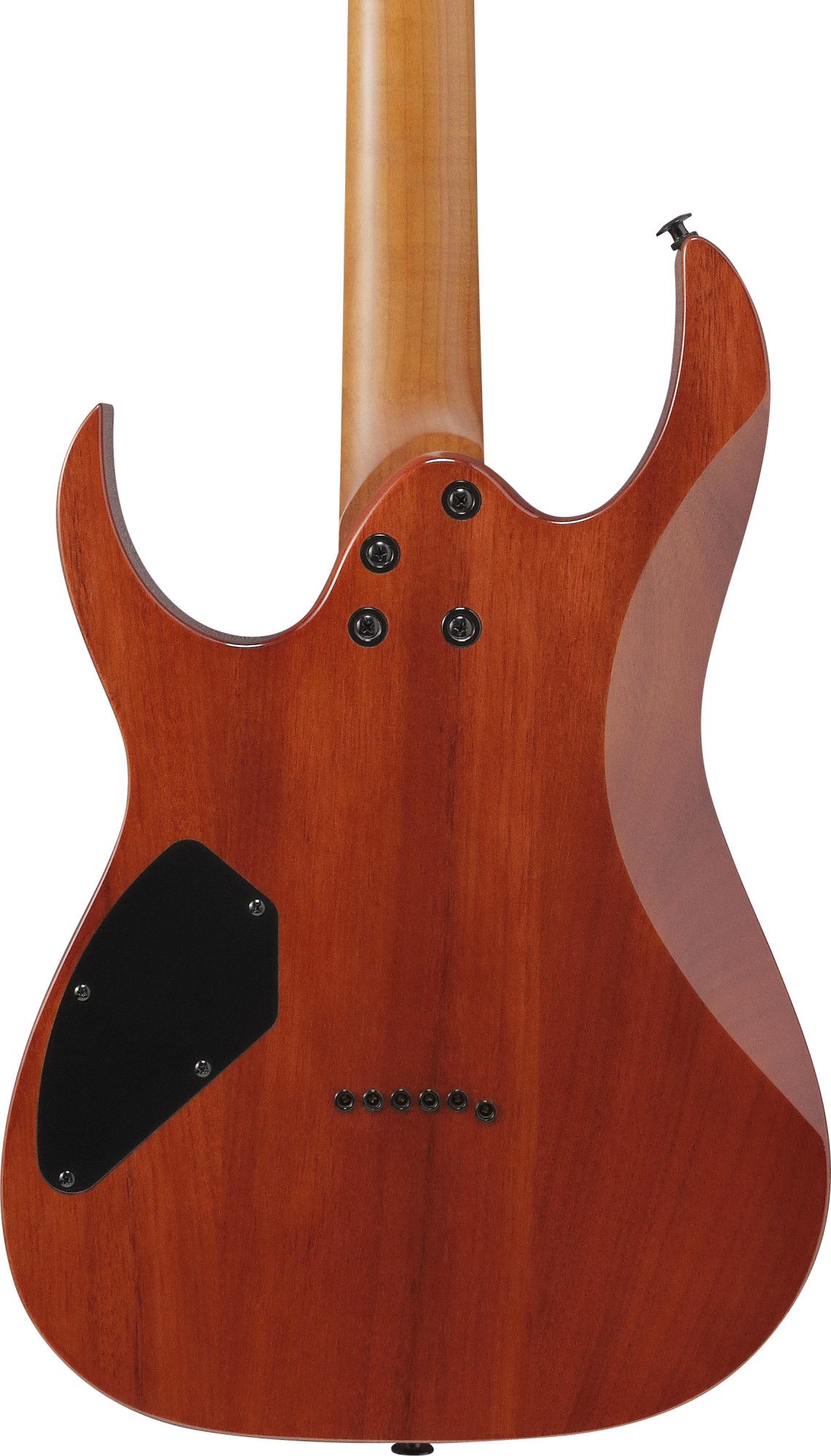 Ibanez GRGR 221FA-TDK – Bild 5