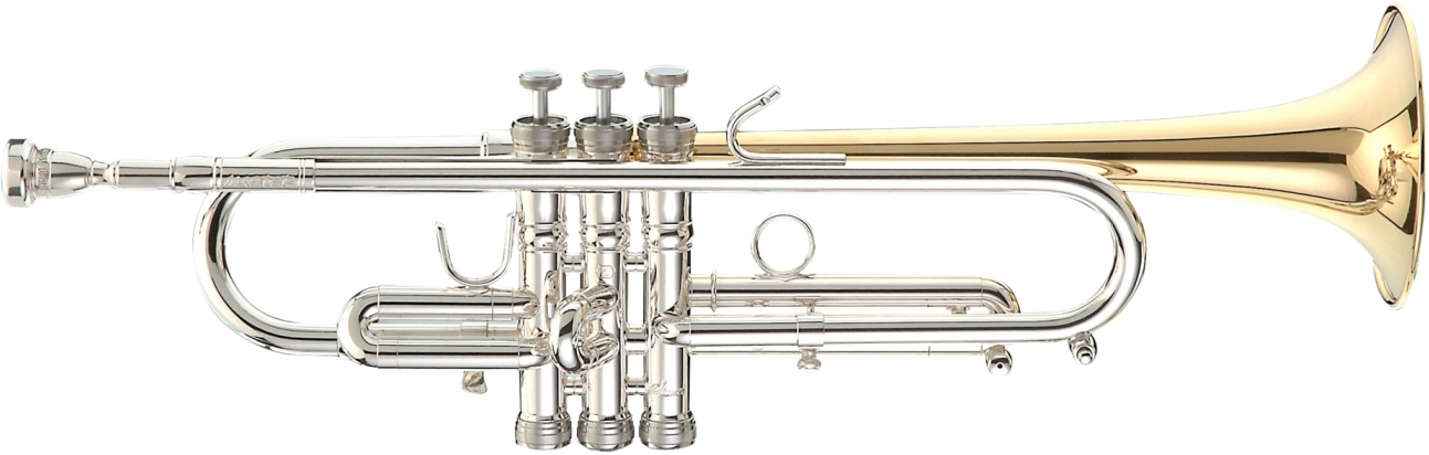 Stomvi Master 5381 