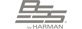 BSS
