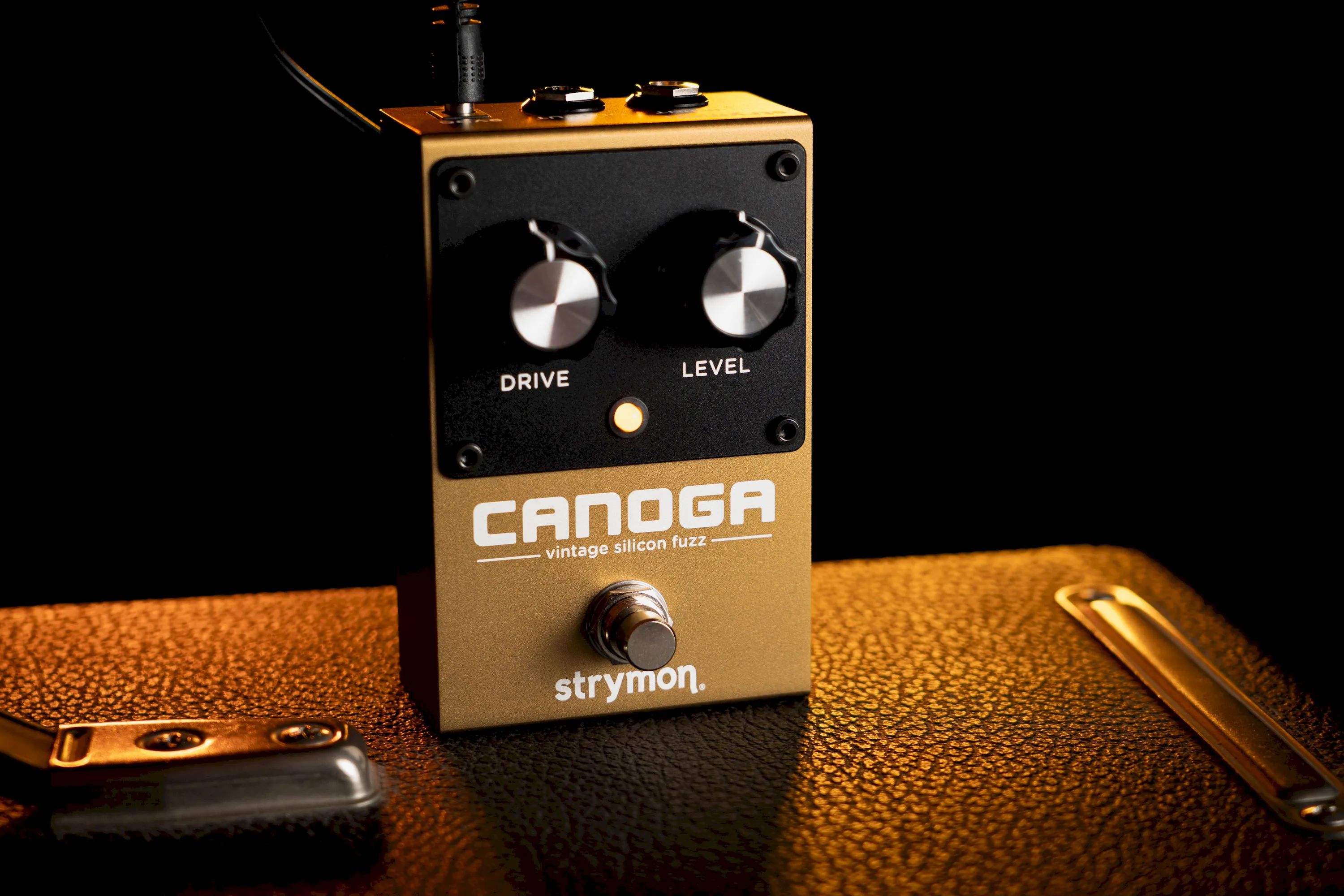Strymon Canoga Analog Fuzz  – Bild 3