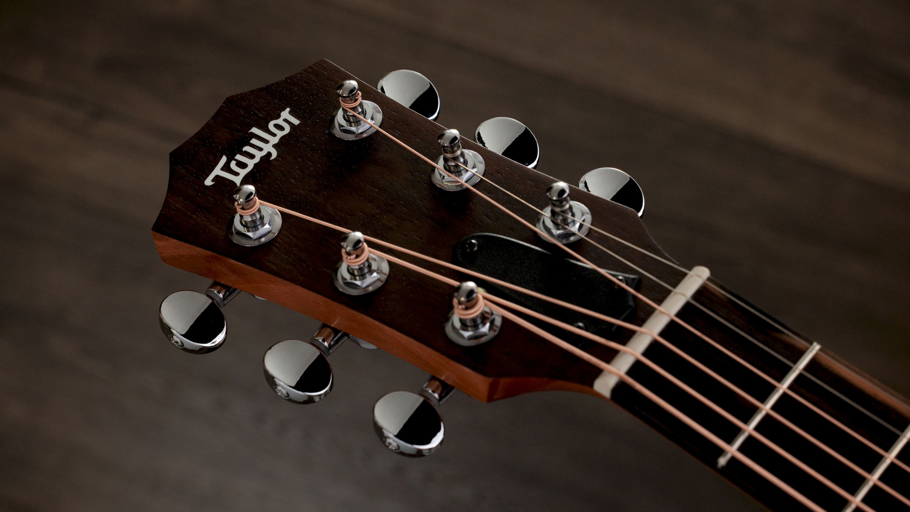Taylor GS Mini-e Rosewood SB