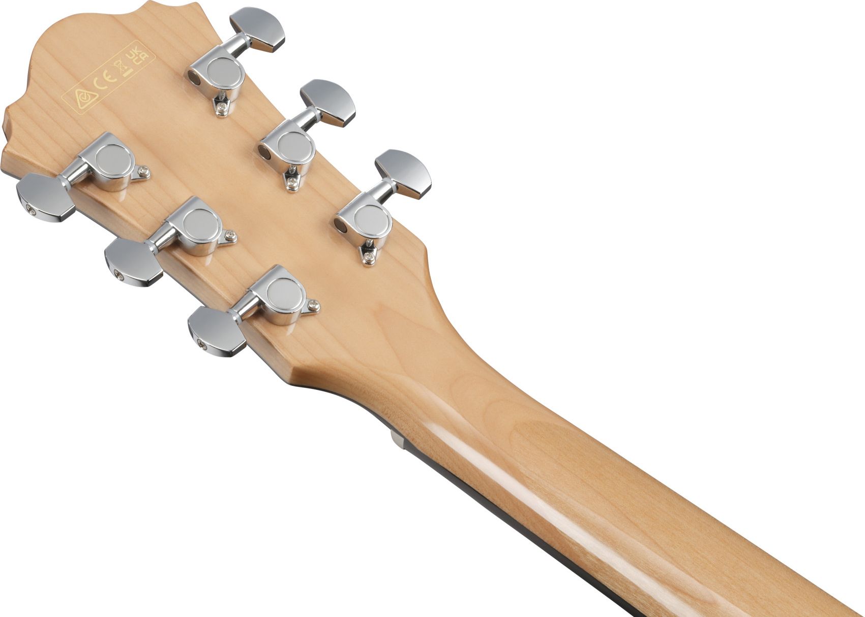 Ibanez AE 170-NTR 
