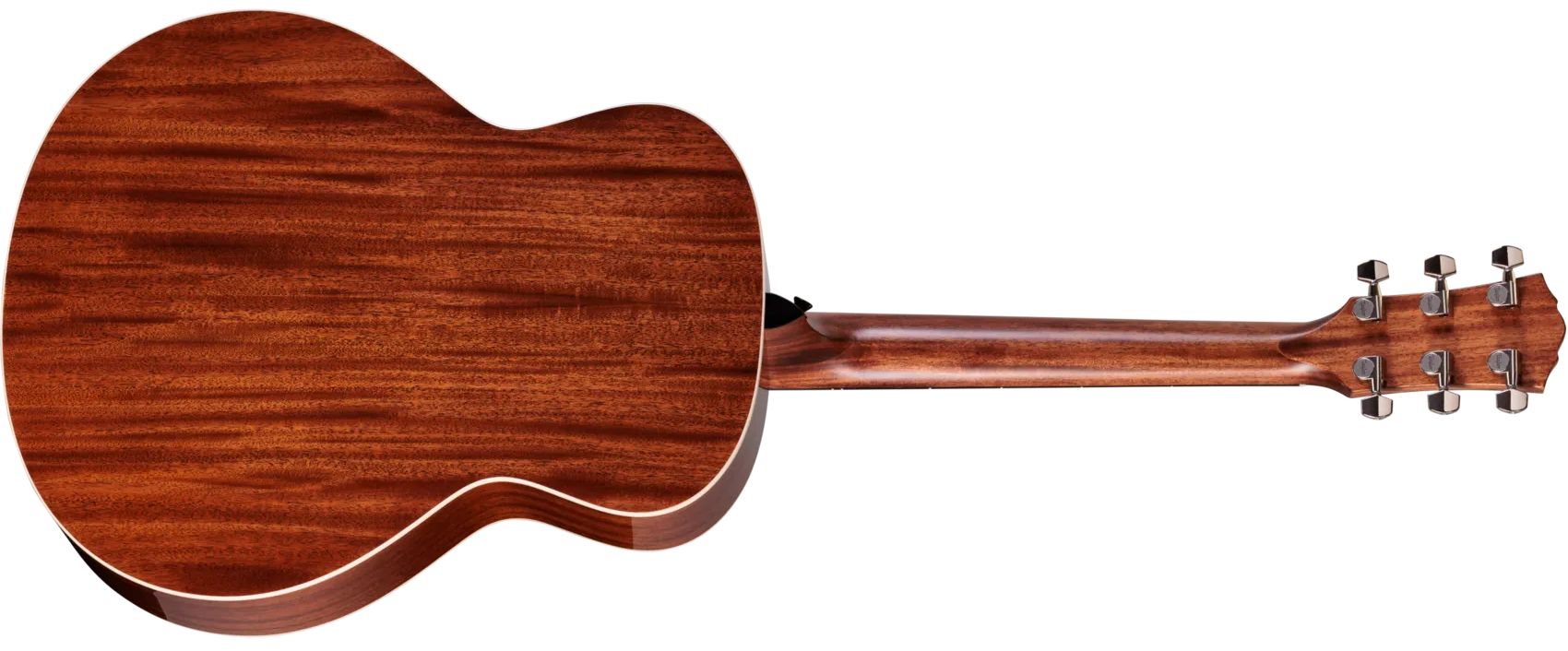 Taylor Gold Label 514e Fichte/Mahagoni – Bild 2