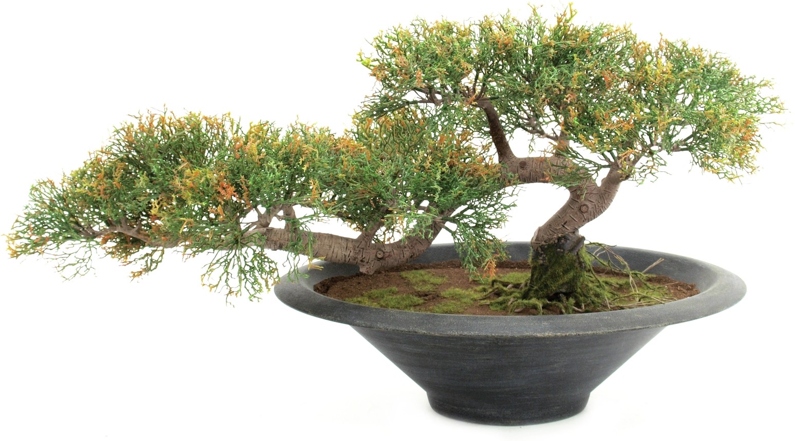 Europalms Bonsai-Zeder, Kunstpflanze, 40cm