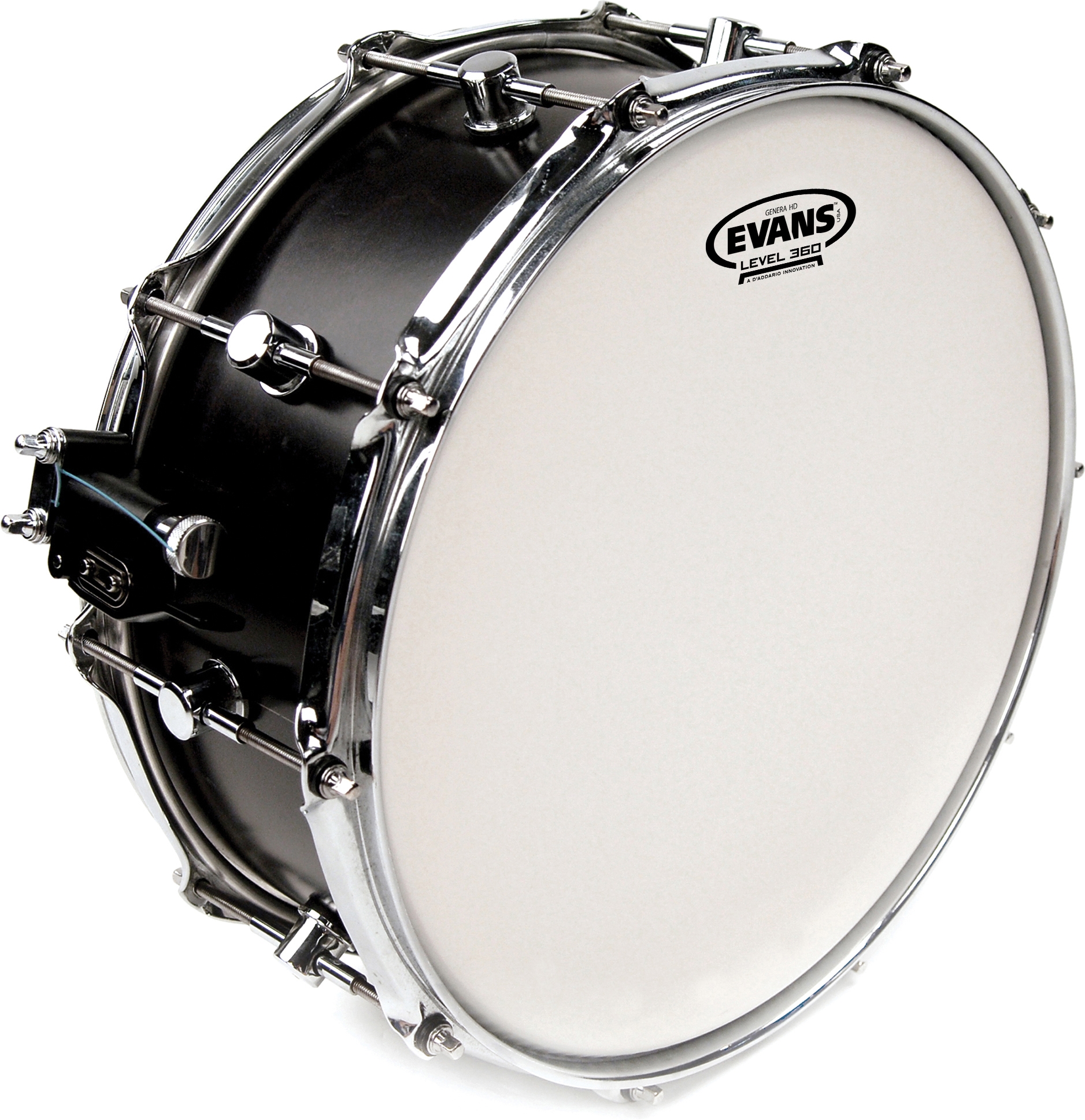 Evans B14HD Genera HD 14