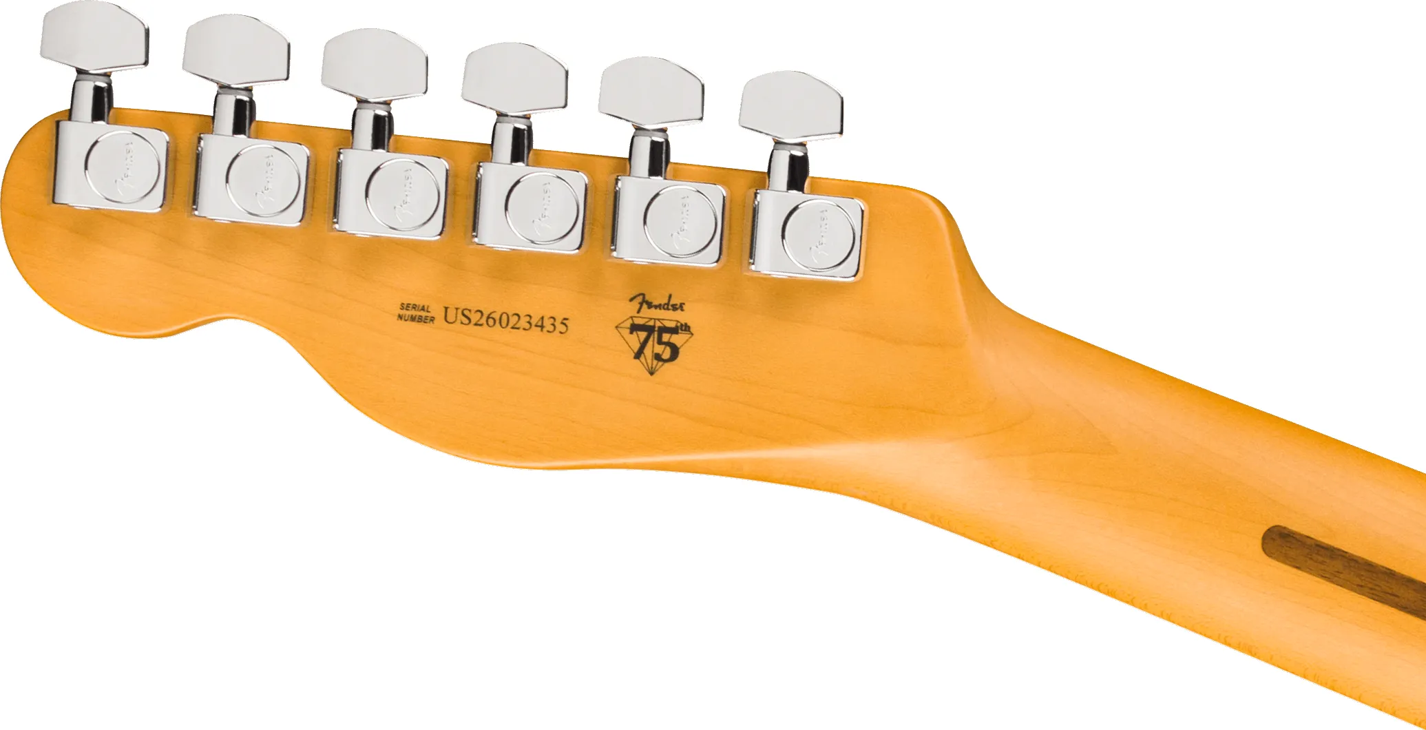 Fender American Professional Hot Shot Telecaster Oxblood/RW – Bild 6