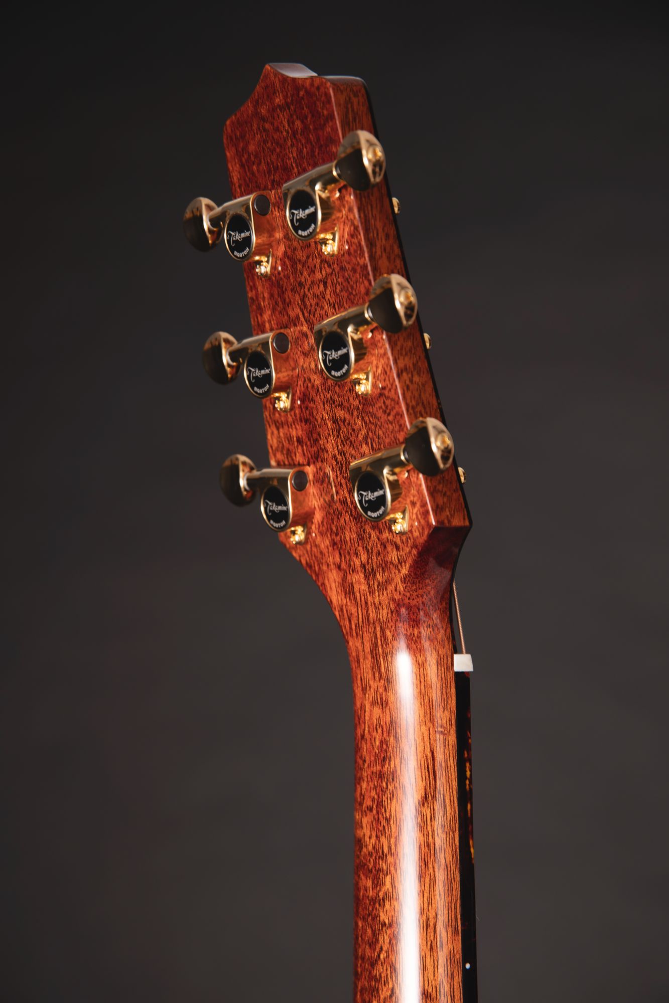 Takamine Limited 2025 – Bild 11