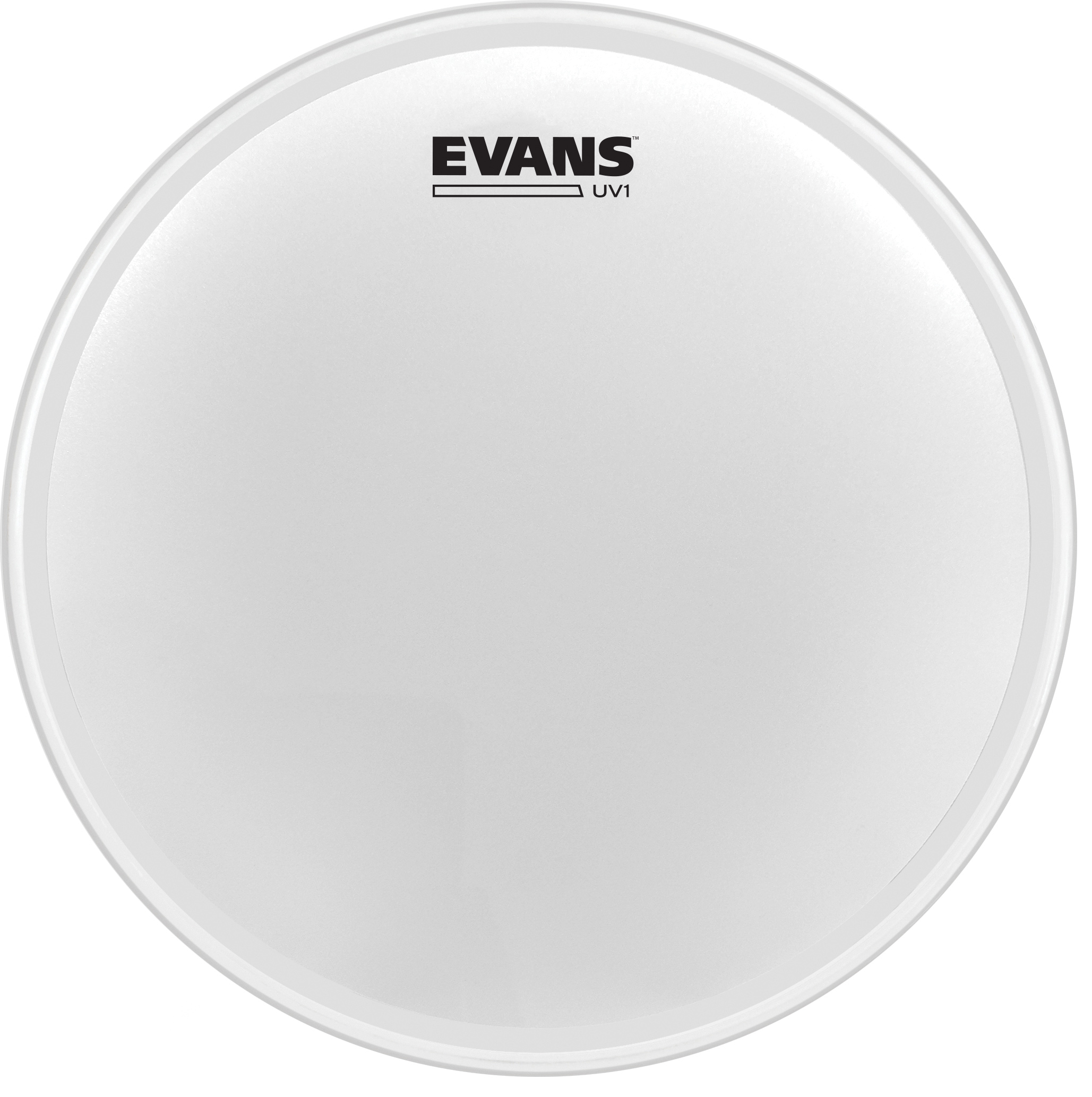 Evans UV1 Coated 12" 