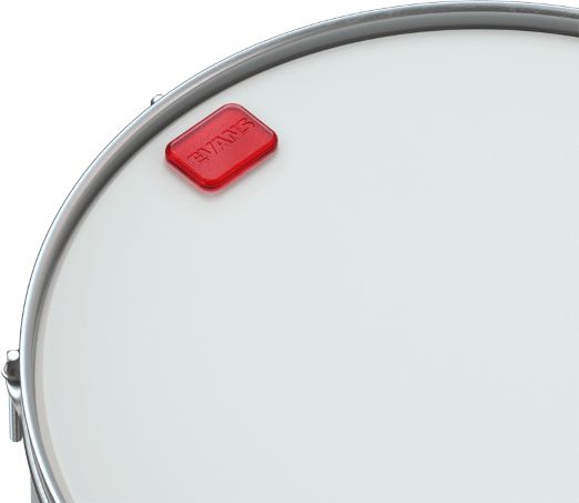 Evans EQ Pods Mini – Bild 2
