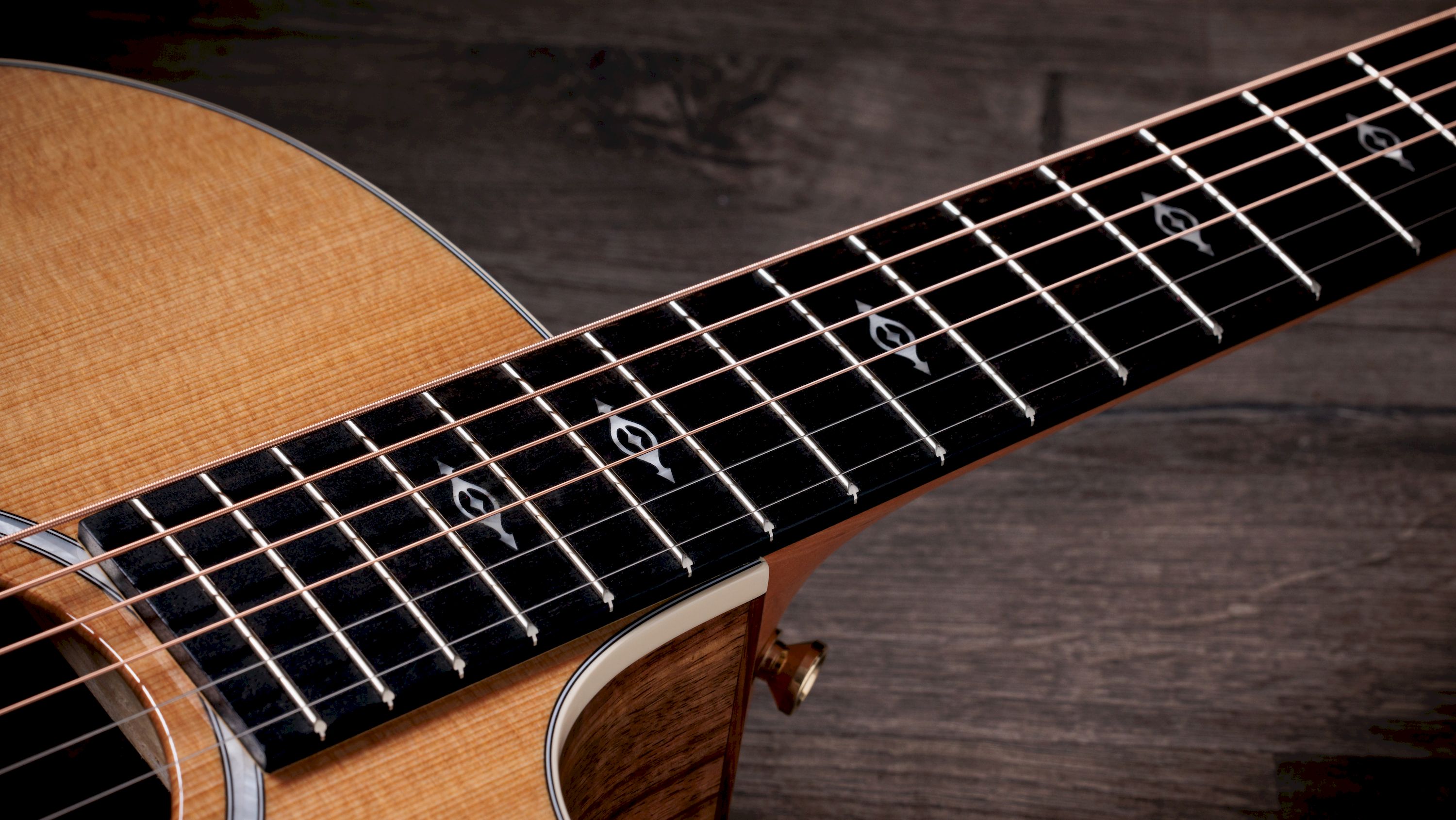 Taylor 214ce K DLX – Bild 4