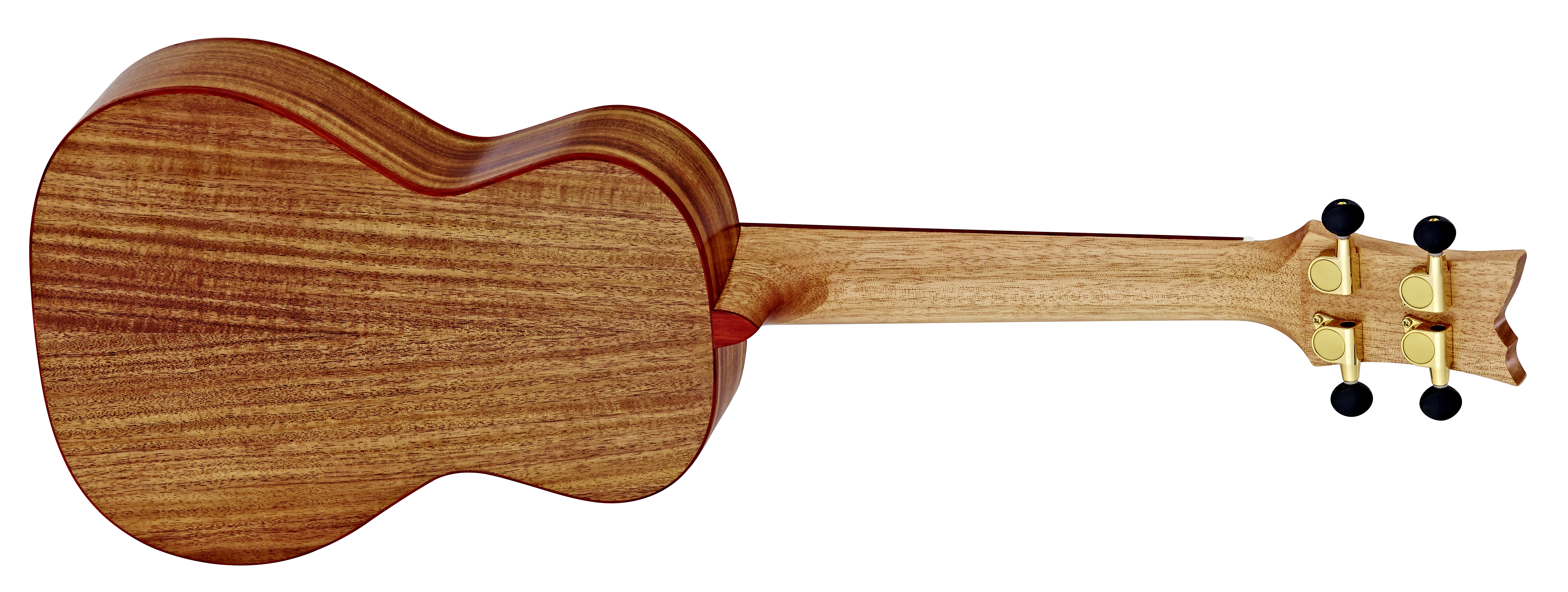 Ortega RUACA-CC Acacia Series Konzert Ukulele  – Bild 2