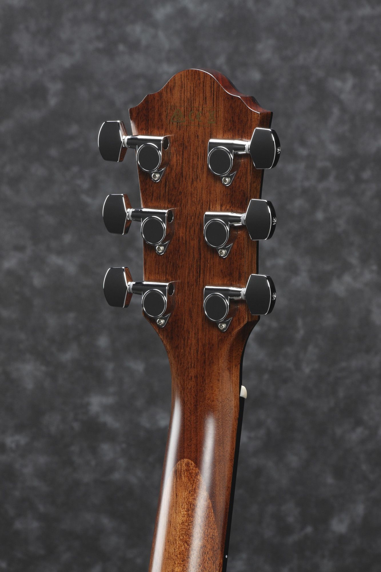 Ibanez AEG 200-LGS Natural Low Gloss – Bild 4