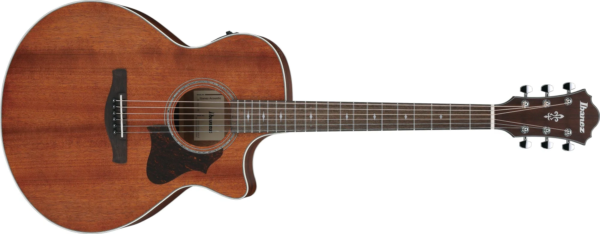 Ibanez AE140-OPN Open Pore Natural