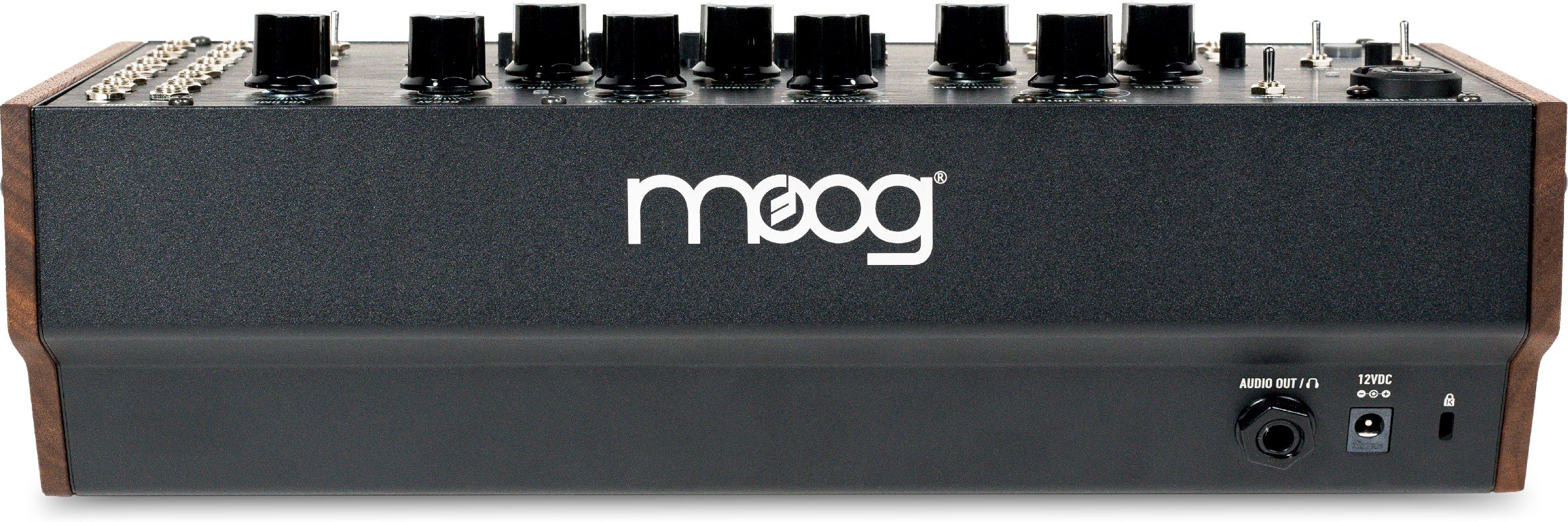 Moog Spectravox – Bild 4