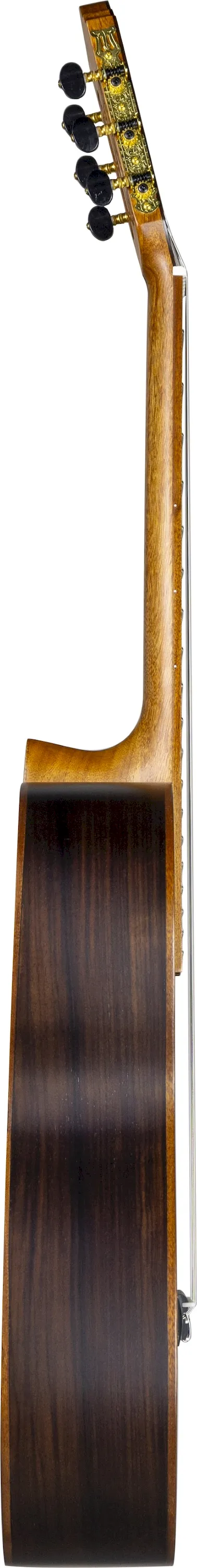 Contigo C-205 4/4 solid cedar/rosewood – Bild 4