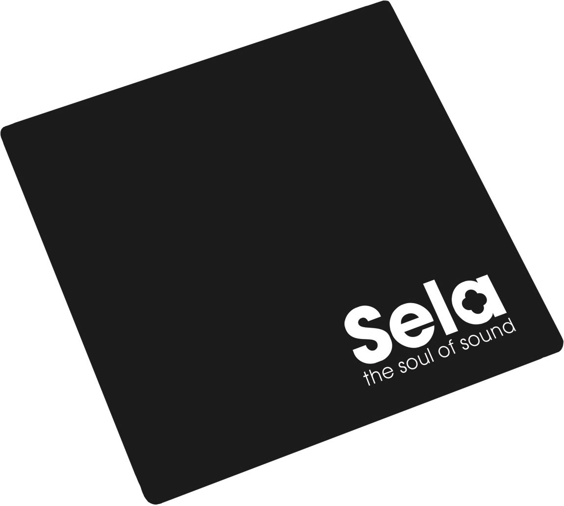 Sela CaSela Black - Dark Nut Cajon Bundle mit Red Rock Cajon Bag und Sela Sitzkissen – Bild 5