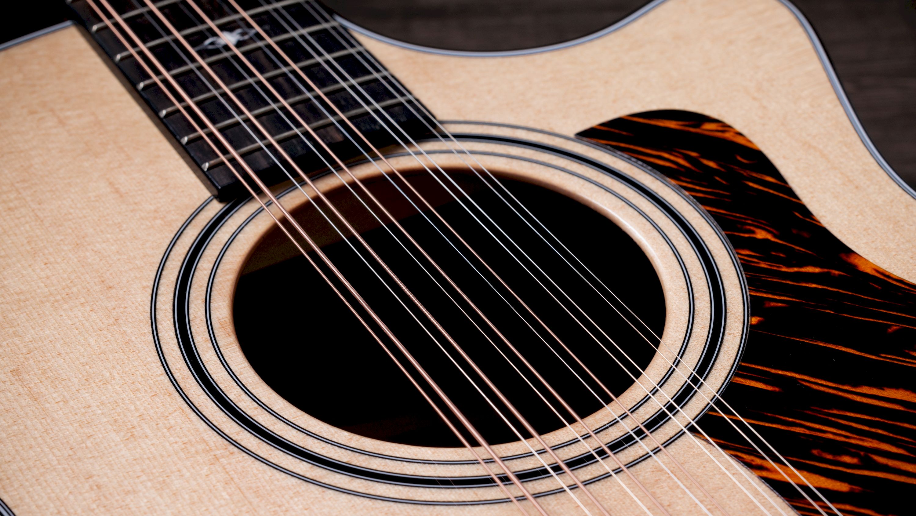 Taylor 354ce 12-String – Bild 3