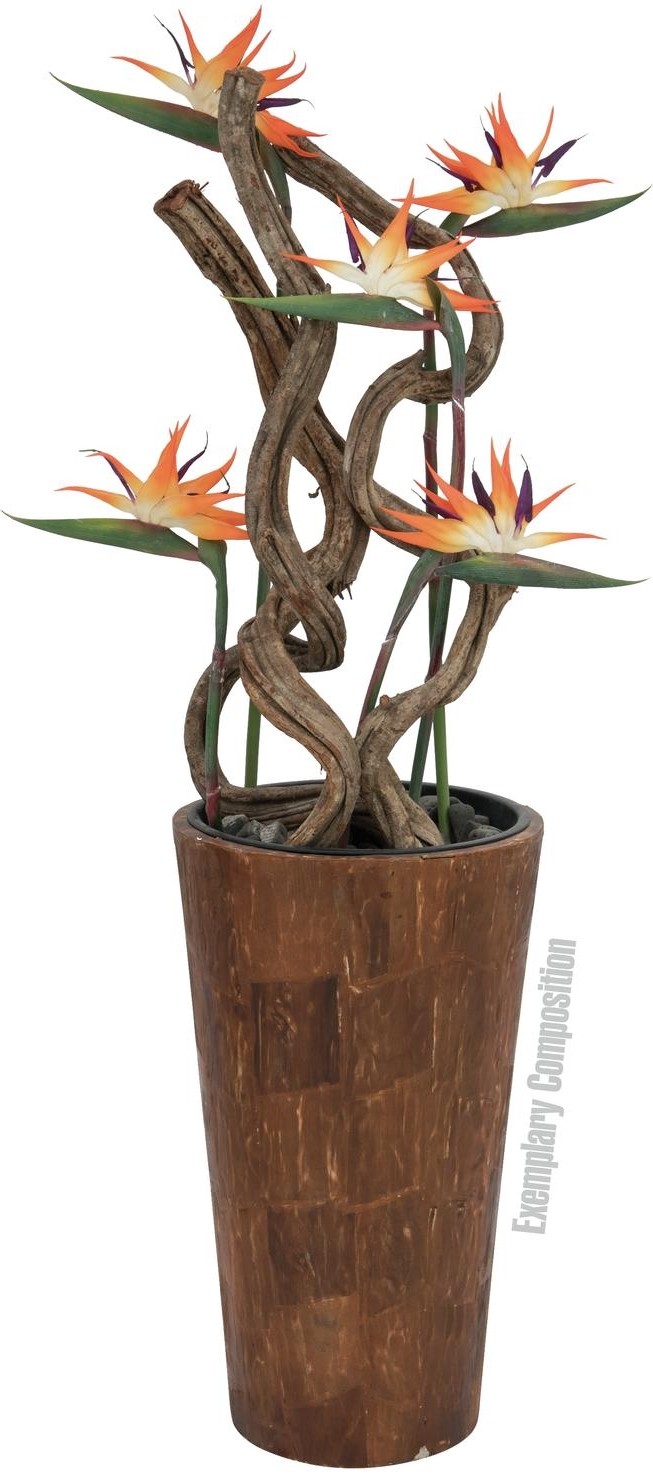 Europalms Dekotopf-Set "AFRICA" 74/54/44cm – Bild 2