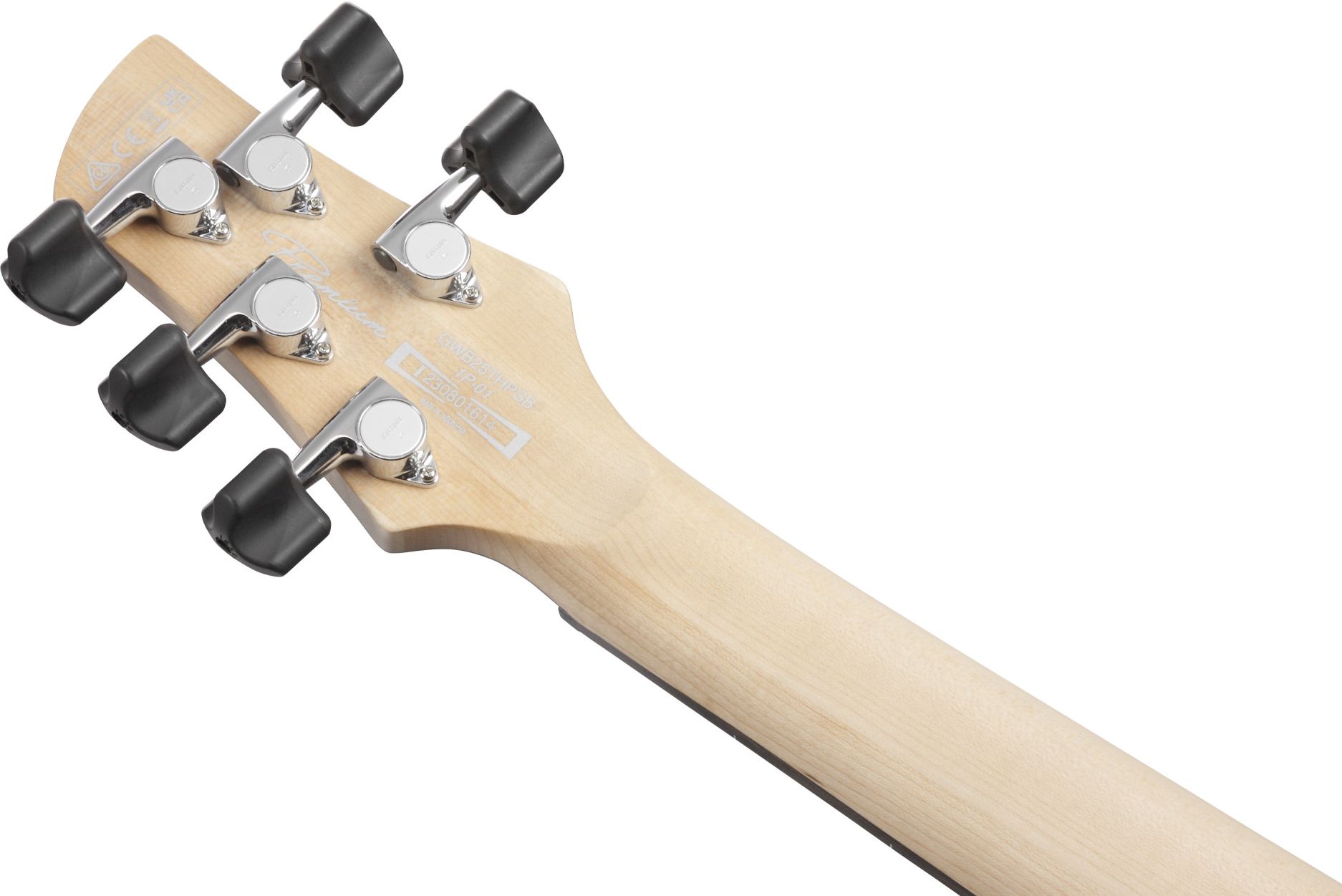 Ibanez GWB25TH-SWF – Bild 8