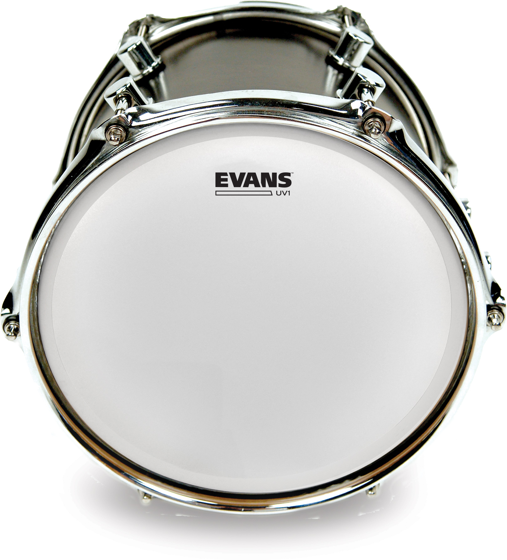 Evans UV1 Coated 12" 