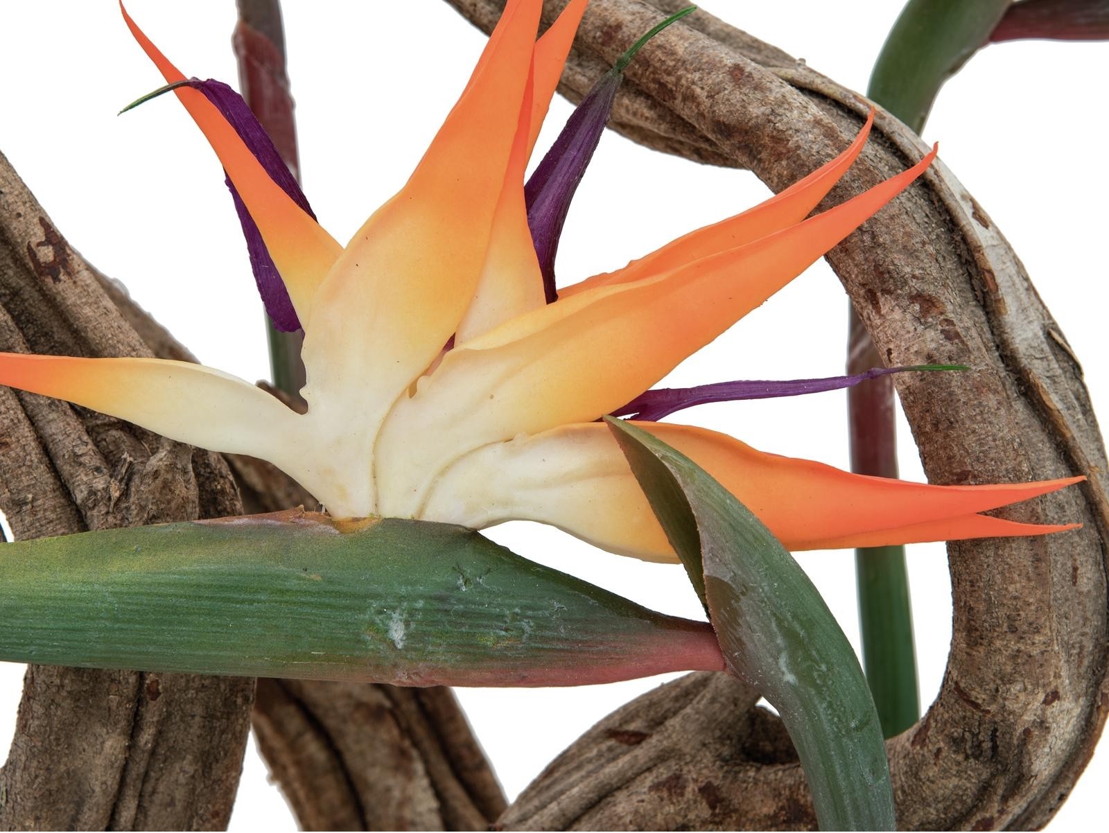 Europalms Dekotopf-Set "AFRICA" 74/54/44cm
