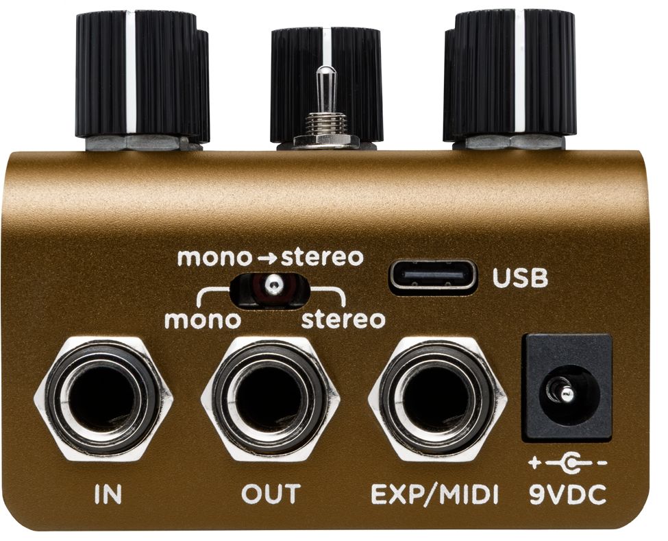 Strymon Olivera – Bild 2