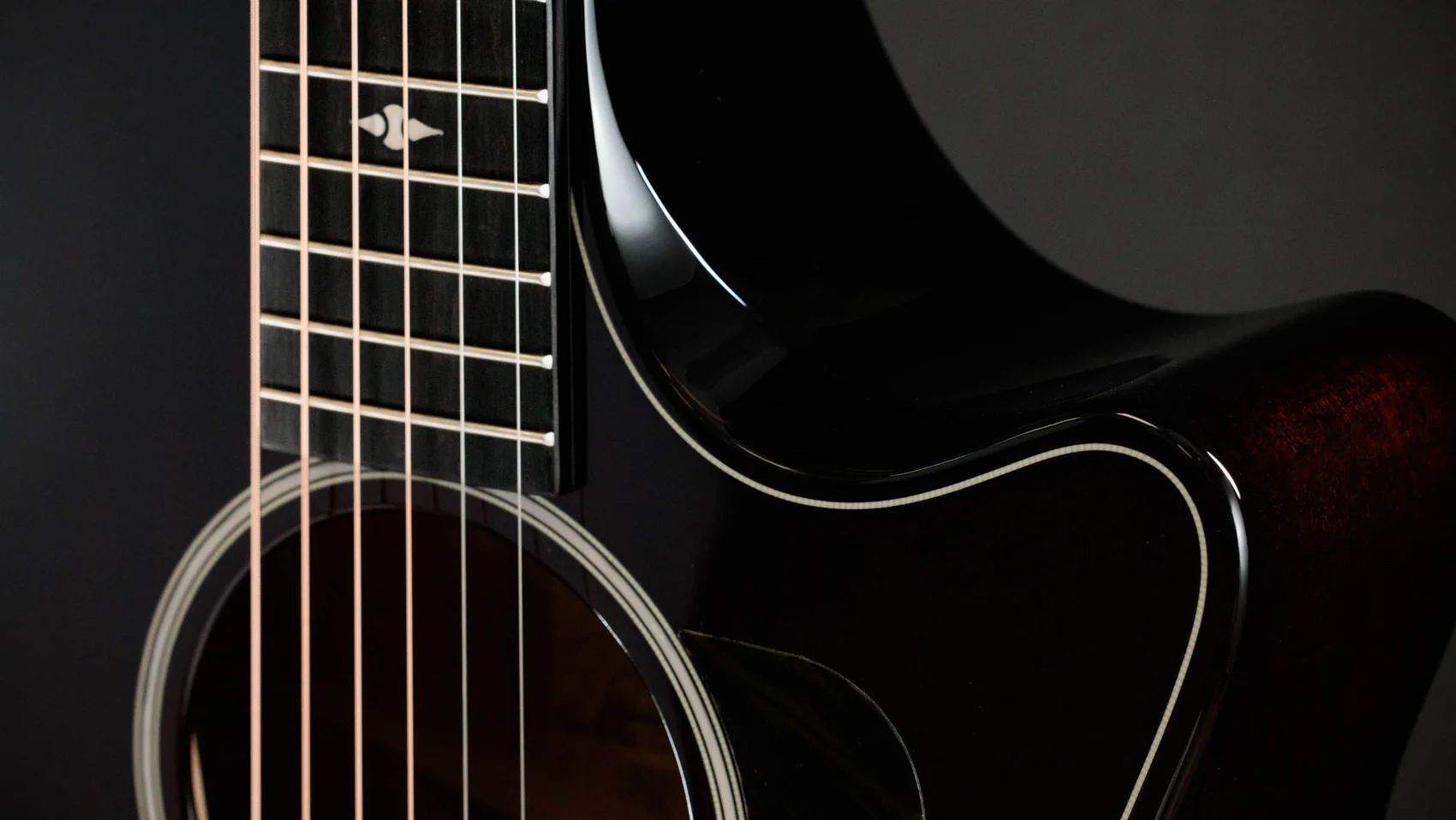 Taylor 524ce Builder's Edition Grand Auditorium  – Bild 7