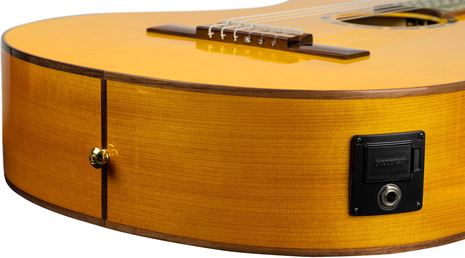 Ortega RCE 170 F