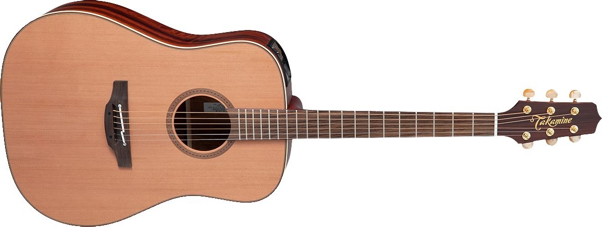 Takamine FN15AR