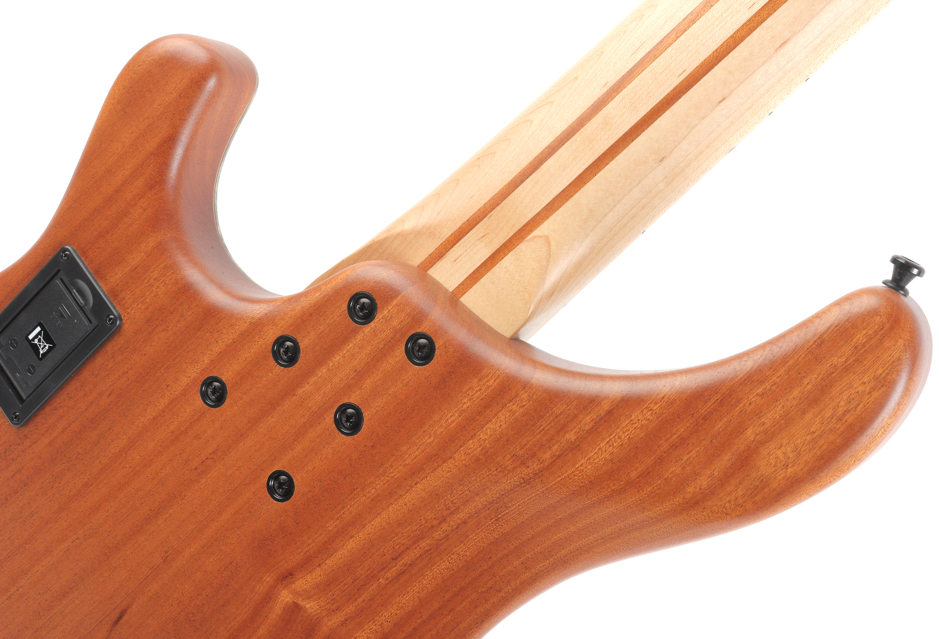 Sandberg Basic Ken Taylor 5 Buckeye Burl Birdseye / Maple FB – Bild 4