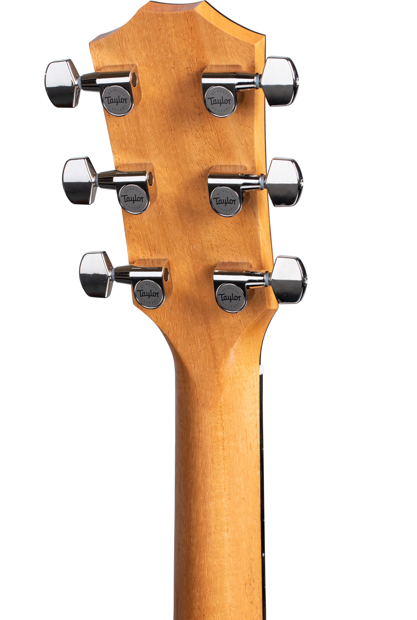 Taylor 214ce Plus Grand Auditorium