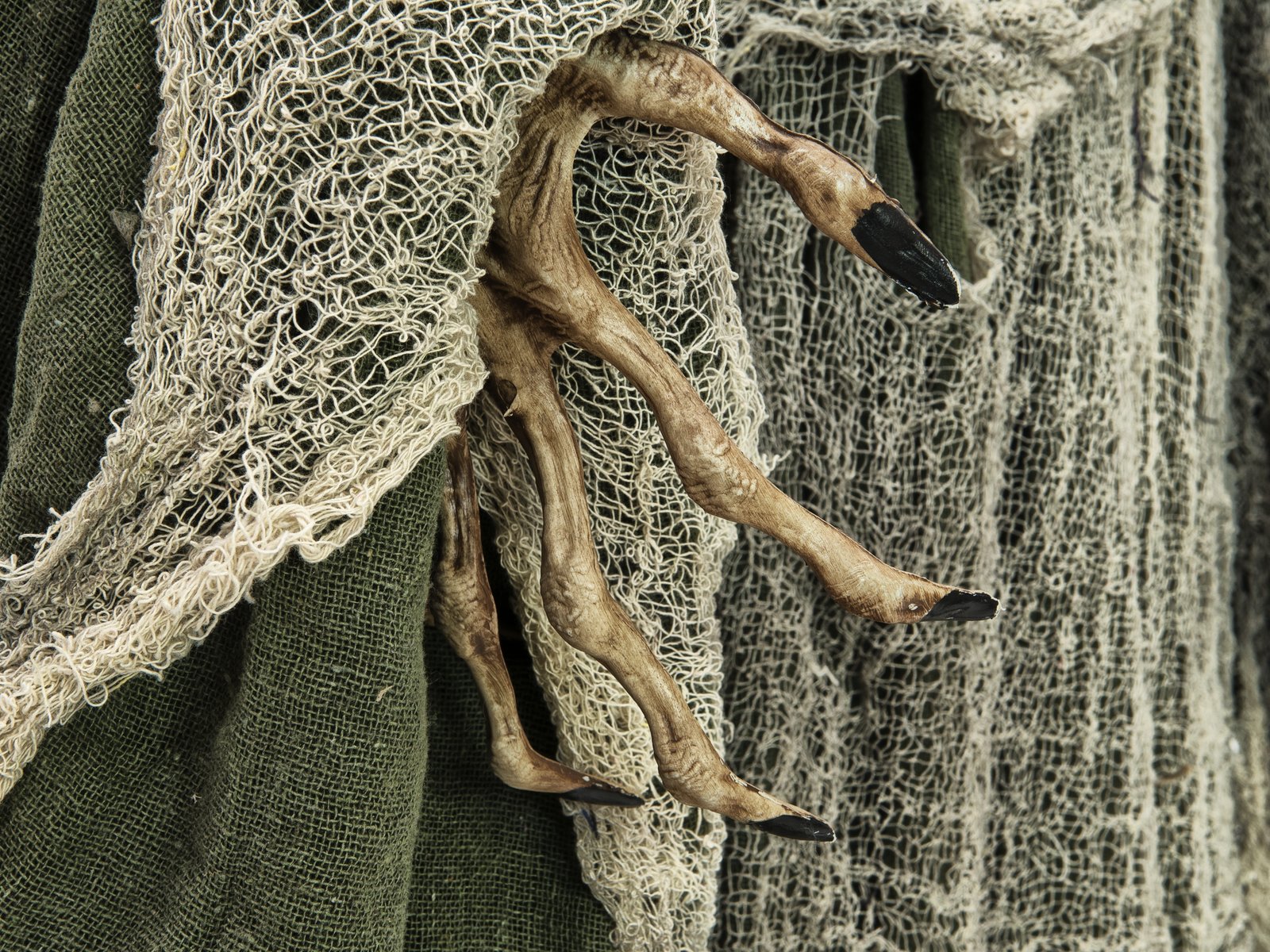 Europalms Hexe – Bild 5