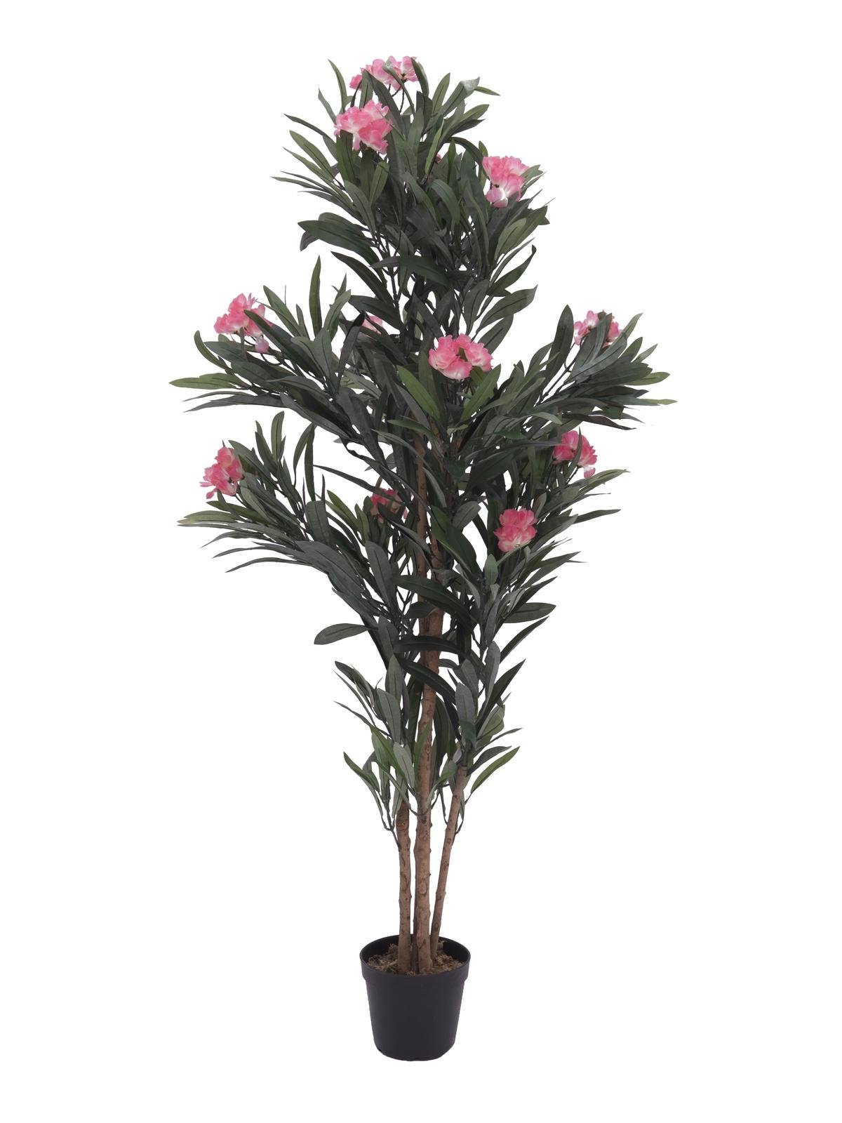 EUROPALMS Oleanderbaum, rosa, 150 cm EUROPALMS Oleanderbaum, rosa, 150 cm