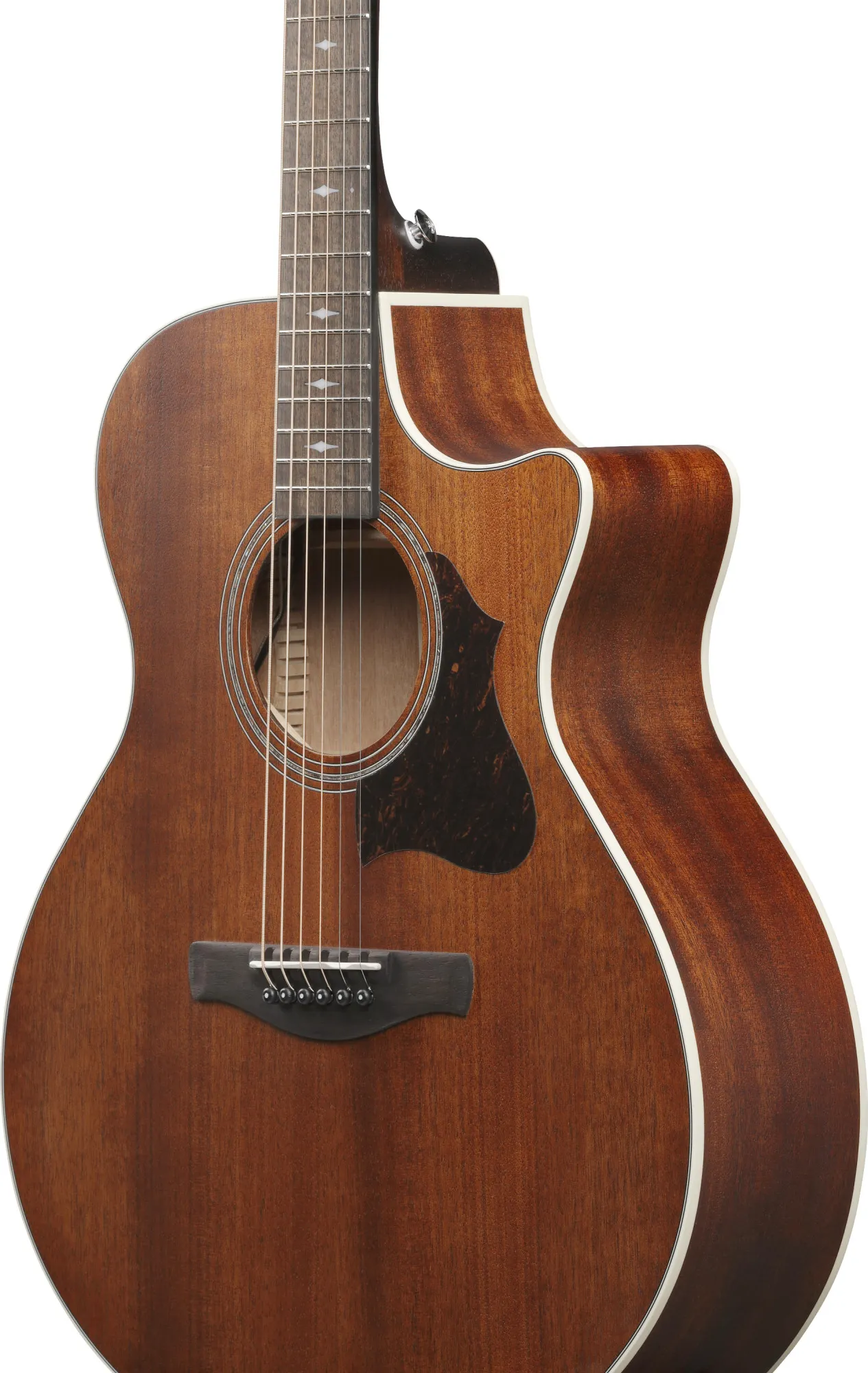 Ibanez AE140-OPN Open Pore Natural – Bild 5