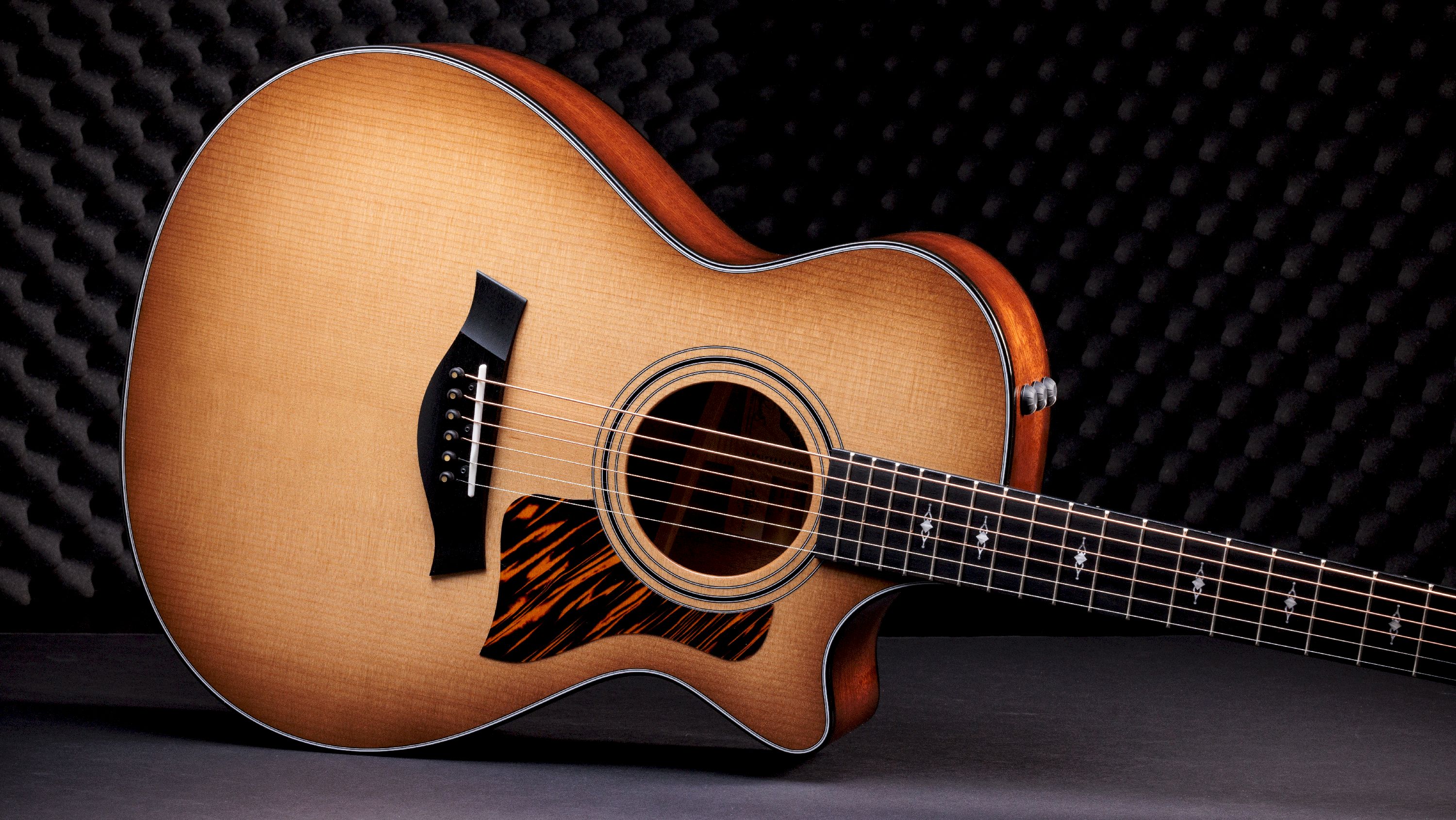 Taylor 50th Anniversary 312ce