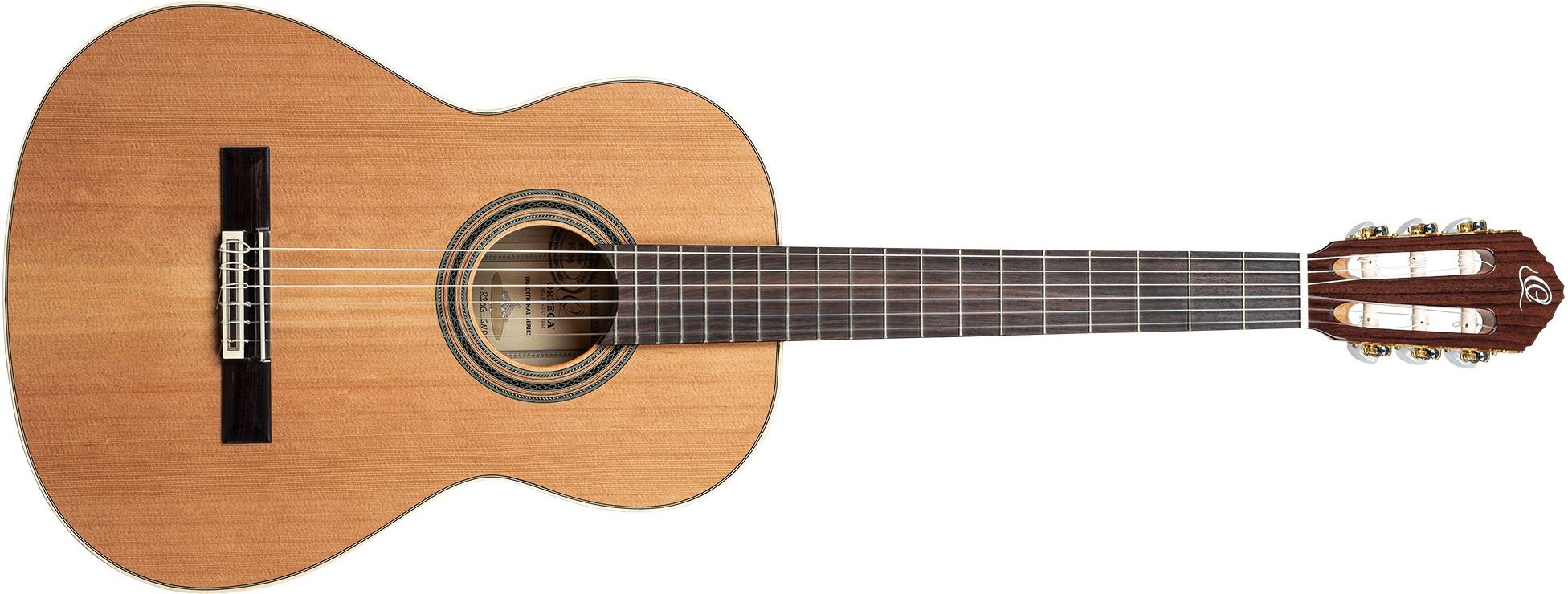 Ortega R20GSNRG Traditional Series 4/4